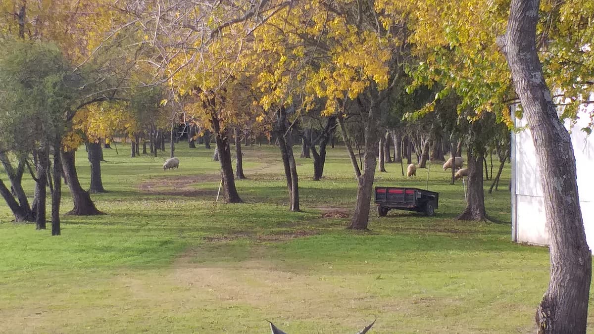 Foto 19